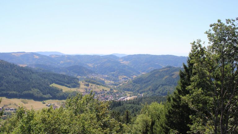 Dieses Bild zeigt eine Webcam-Aufnahme vom Achertal, aufgenommen am Donnerstag, den 13.08.2026 um 14:50 Uhr. Die Temperatur betrug 34.8°C.