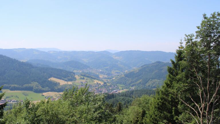 Dieses Bild zeigt eine Webcam-Aufnahme vom Achertal, aufgenommen am Montag, den 22.06.2026 um 13:10 Uhr. Die Temperatur betrug 29.6°C.