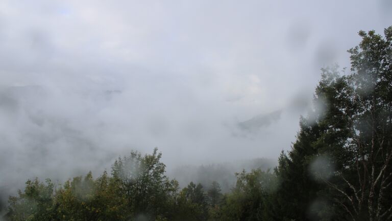 Dieses Bild zeigt eine Webcam-Aufnahme vom Achertal, aufgenommen am Mittwoch, den 14.10.2026 um 09:50 Uhr. Die Temperatur betrug 11.5°C.