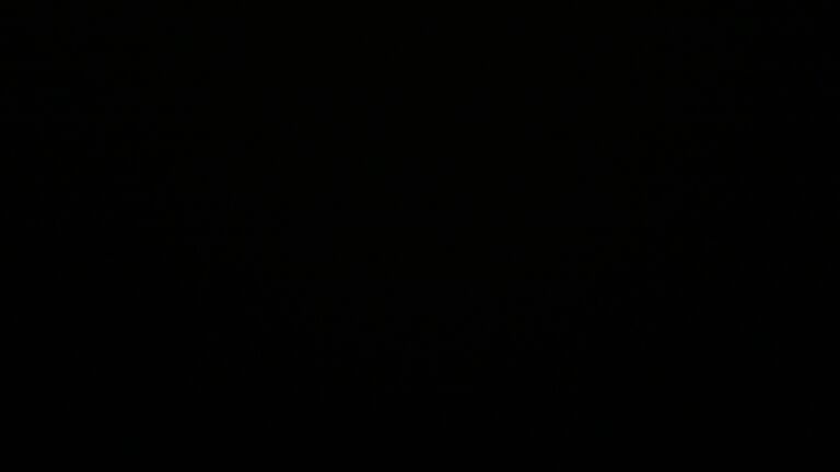 Dieses Bild zeigt eine Webcam-Aufnahme vom Achertal, aufgenommen am Samstag, den 07.06.2025 um 02:50 Uhr. Die Temperatur betrug 11.6°C.
