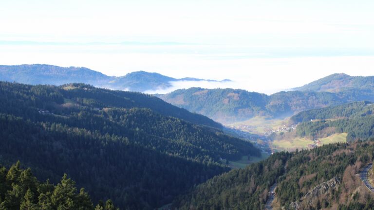 Dieses Bild zeigt eine Webcam-Aufnahme vom Achertal, aufgenommen am Mittwoch, den 03.12.2025 um 12:30 Uhr. Die Temperatur betrug 5.9°C.