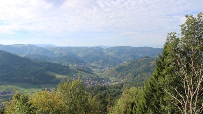 Dieses Bild zeigt eine Webcam-Aufnahme vom Achertal, aufgenommen am Freitag, den 16.10.2026 um 11:00 Uhr. Die Temperatur betrug 17.1°C.