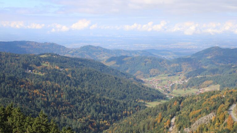 Dieses Bild zeigt eine Webcam-Aufnahme vom Achertal, aufgenommen am Dienstag, den 14.10.2025 um 11:50 Uhr. Die Temperatur betrug 10.9°C.