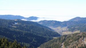 Dieses Bild zeigt eine Webcam-Aufnahme vom Achertal, aufgenommen am Sonntag, den 08.02.2026 um 12:50 Uhr. Die Temperatur betrug 4.8°C.