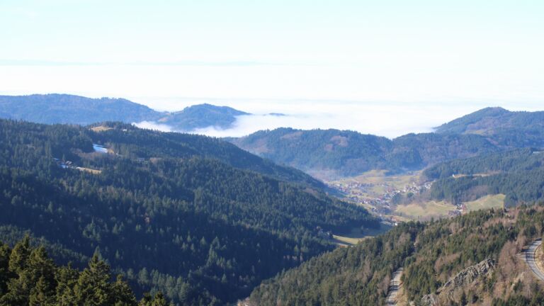 Dieses Bild zeigt eine Webcam-Aufnahme vom Achertal, aufgenommen am Sonntag, den 08.02.2026 um 12:50 Uhr. Die Temperatur betrug 4.8°C.