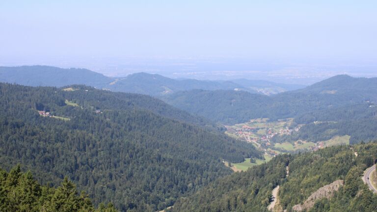 Dieses Bild zeigt eine Webcam-Aufnahme vom Achertal, aufgenommen am Montag, den 11.08.2025 um 11:30 Uhr. Die Temperatur betrug 19.3°C.