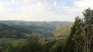 Dieses Bild zeigt eine Webcam-Aufnahme vom Achertal, aufgenommen am Dienstag, den 08.09.2026 um 07:50 Uhr. Die Temperatur betrug 21.3°C.