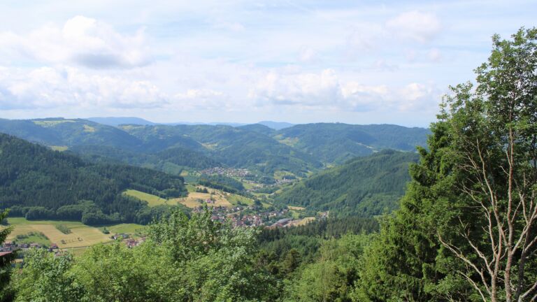Dieses Bild zeigt eine Webcam-Aufnahme vom Achertal, aufgenommen am Montag, den 01.06.2026 um 11:40 Uhr. Die Temperatur betrug 18°C.