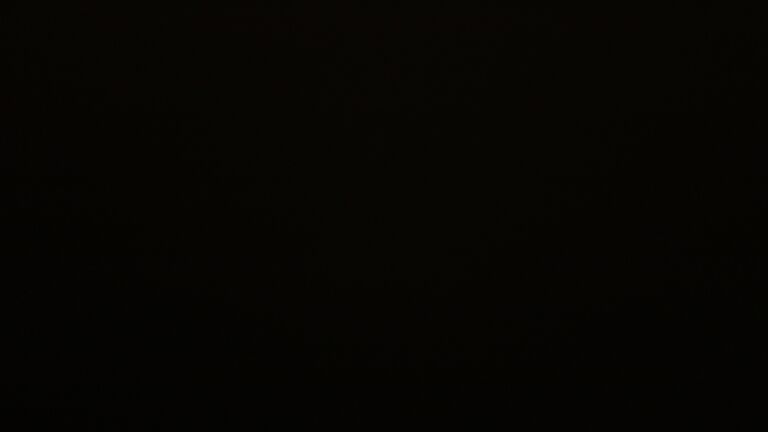 Dieses Bild zeigt eine Webcam-Aufnahme vom Achertal, aufgenommen am Dienstag, den 25.11.2025 um 20:30 Uhr. Die Temperatur betrug -0.4°C.