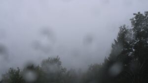 Dieses Bild zeigt eine Webcam-Aufnahme vom Achertal, aufgenommen am Donnerstag, den 08.10.2026 um 12:50 Uhr. Die Temperatur betrug 10.3°C.