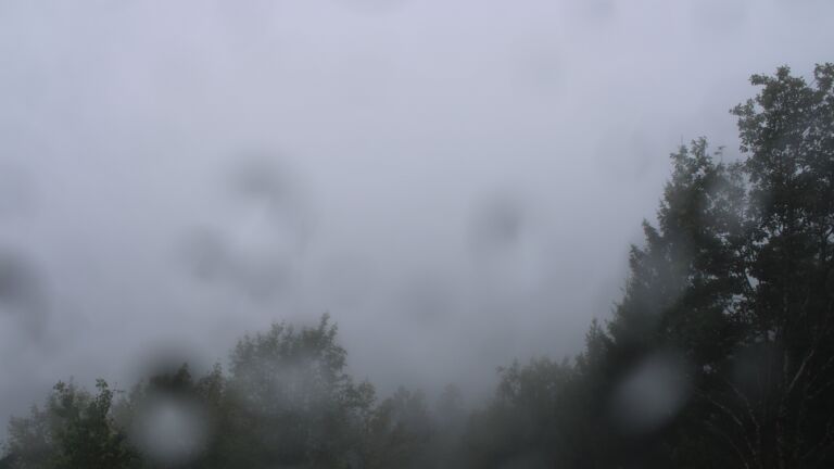 Dieses Bild zeigt eine Webcam-Aufnahme vom Achertal, aufgenommen am Donnerstag, den 08.10.2026 um 12:50 Uhr. Die Temperatur betrug 10.3°C.