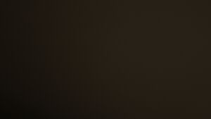 Dieses Bild zeigt eine Webcam-Aufnahme vom Achertal, aufgenommen am Mittwoch, den 19.11.2025 um 23:30 Uhr. Die Temperatur betrug -2.1°C.