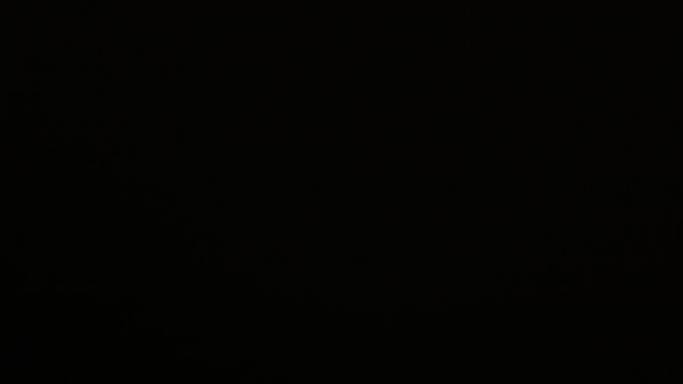 Dieses Bild zeigt eine Webcam-Aufnahme vom Achertal, aufgenommen am Mittwoch, den 24.09.2025 um 20:50 Uhr. Die Temperatur betrug 4.5°C.