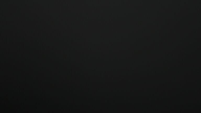 Dieses Bild zeigt eine Webcam-Aufnahme vom Achertal, aufgenommen am Sonntag, den 07.12.2025 um 05:00 Uhr. Die Temperatur betrug 3.6°C.