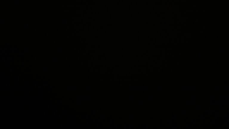 Dieses Bild zeigt eine Webcam-Aufnahme vom Achertal, aufgenommen am Sonntag, den 07.12.2025 um 19:30 Uhr. Die Temperatur betrug 7.1°C.