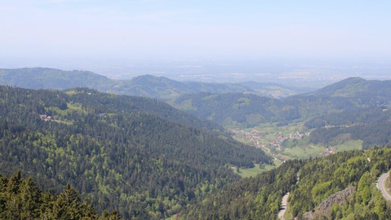 Dieses Bild zeigt eine Webcam-Aufnahme vom Achertal, aufgenommen am Mittwoch, den 29.04.2026 um 12:50 Uhr. Die Temperatur betrug 12.5°C.