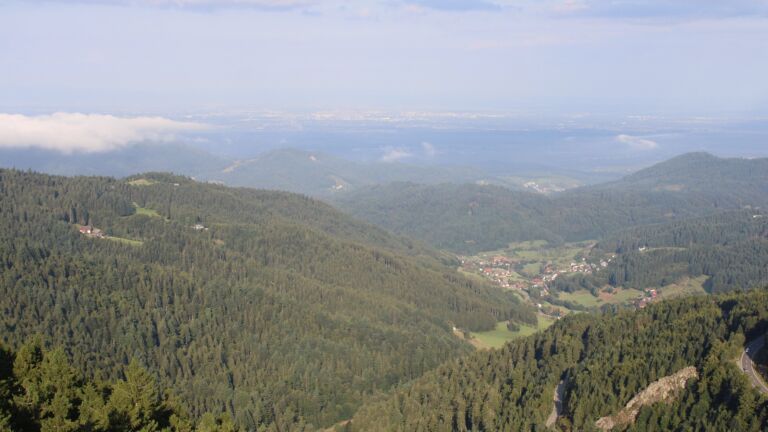Dieses Bild zeigt eine Webcam-Aufnahme vom Achertal, aufgenommen am Freitag, den 22.08.2025 um 08:30 Uhr. Die Temperatur betrug 11.8°C.