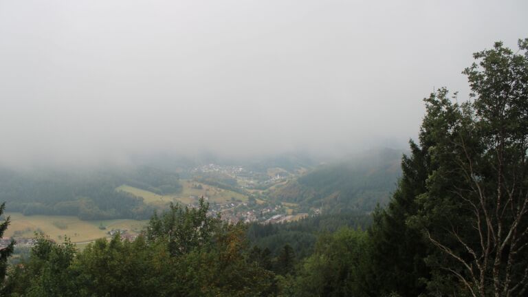 Dieses Bild zeigt eine Webcam-Aufnahme vom Achertal, aufgenommen am Samstag, den 22.08.2026 um 11:00 Uhr. Die Temperatur betrug 11.2°C.