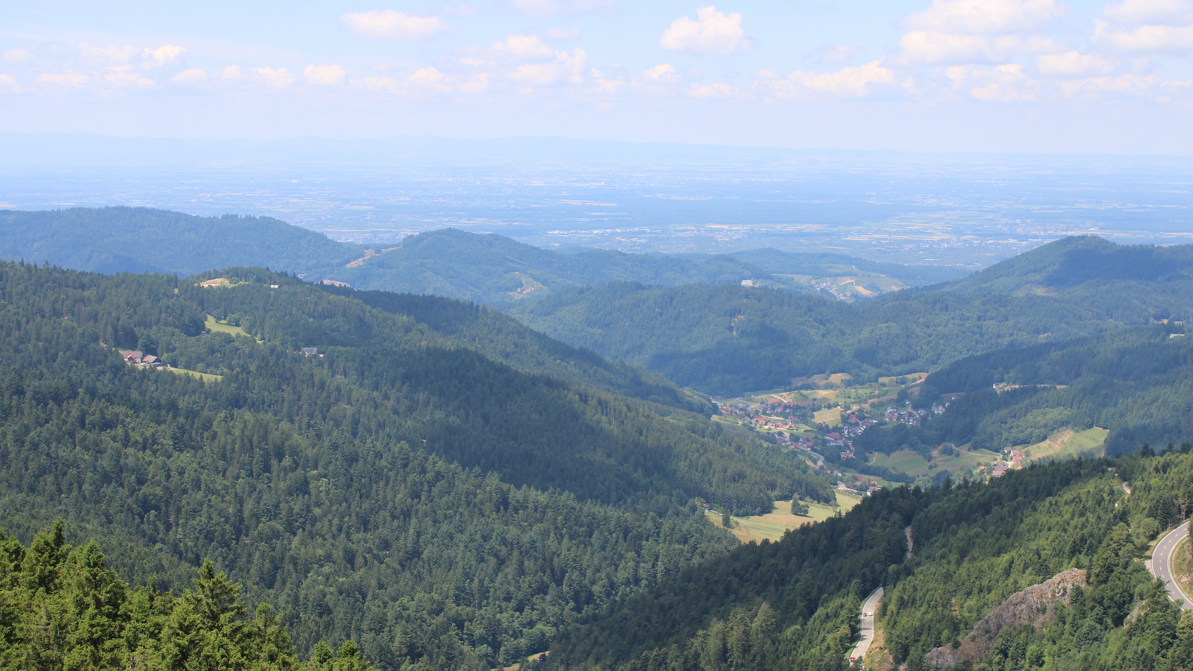 Zum Fotoarchiv vom Samstag, 12. Juli 2025