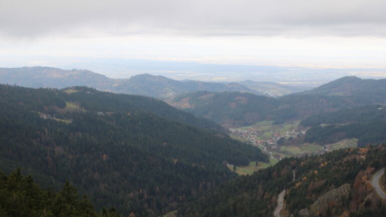 Dieses Bild zeigt eine Webcam-Aufnahme vom Achertal, aufgenommen am Dienstag, den 11.11.2025 um 09:50 Uhr. Die Temperatur betrug 5.6°C.