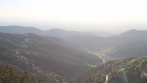 Dieses Bild zeigt eine Webcam-Aufnahme vom Achertal, aufgenommen am Freitag, den 01.05.2026 um 19:30 Uhr. Die Temperatur betrug 16.2°C.