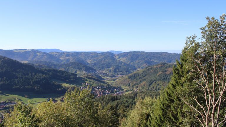Dieses Bild zeigt eine Webcam-Aufnahme vom Achertal, aufgenommen am Montag, den 12.10.2026 um 10:50 Uhr. Die Temperatur betrug 14°C.