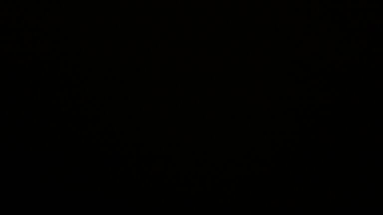 Dieses Bild zeigt eine Webcam-Aufnahme vom Achertal, aufgenommen am Donnerstag, den 20.11.2025 um 03:00 Uhr. Die Temperatur betrug -2.4°C.