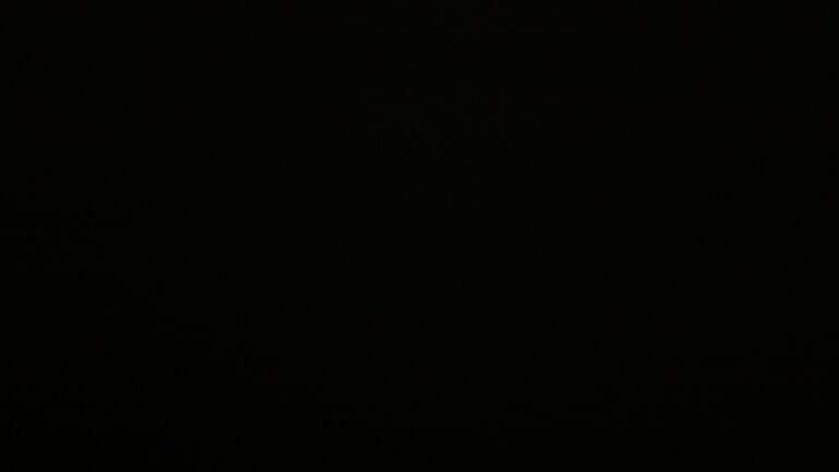 Dieses Bild zeigt eine Webcam-Aufnahme vom Achertal, aufgenommen am Dienstag, den 18.11.2025 um 19:00 Uhr. Die Temperatur betrug -2.8°C.