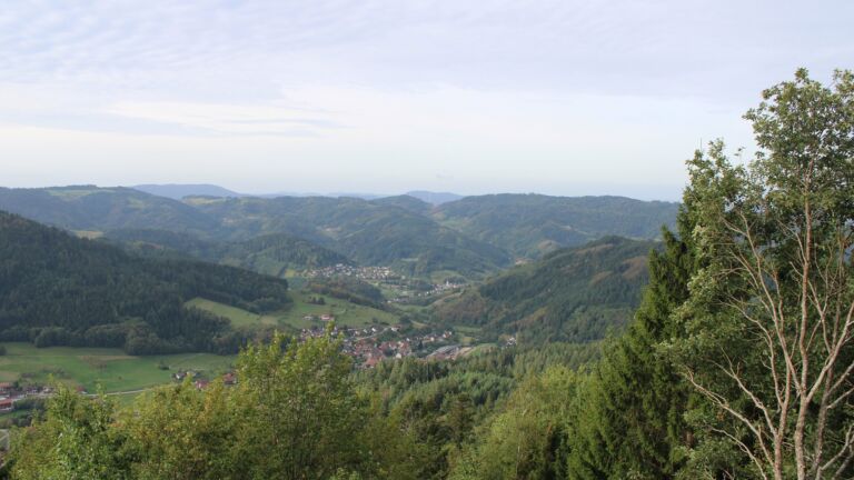 Dieses Bild zeigt eine Webcam-Aufnahme vom Achertal, aufgenommen am Montag, den 21.09.2026 um 09:40 Uhr. Die Temperatur betrug 11.5°C.