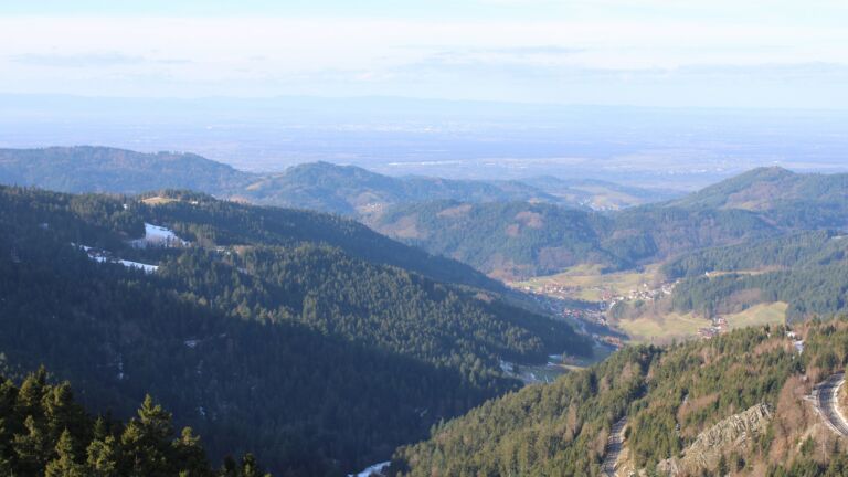 Dieses Bild zeigt eine Webcam-Aufnahme vom Achertal, aufgenommen am Freitag, den 16.01.2026 um 11:30 Uhr. Die Temperatur betrug 8.1°C.