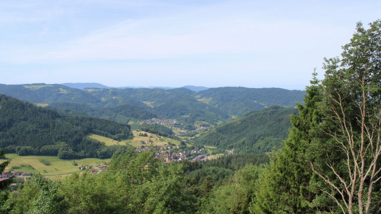 Dieses Bild zeigt eine Webcam-Aufnahme vom Achertal, aufgenommen am Montag, den 08.06.2026 um 10:20 Uhr. Die Temperatur betrug 20.5°C.
