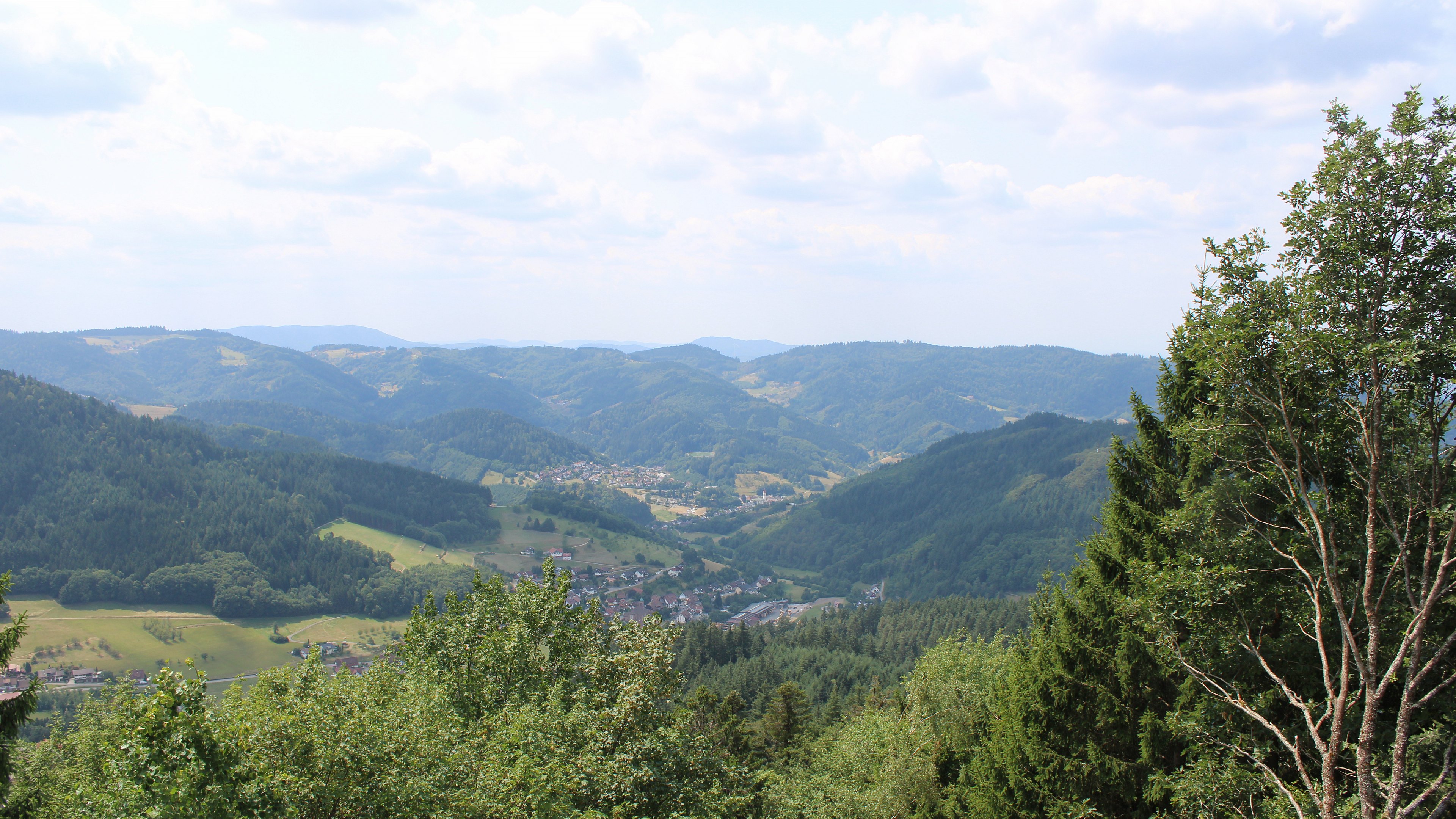 Zum Fotoarchiv vom Sonntag, 26. Juli 2026