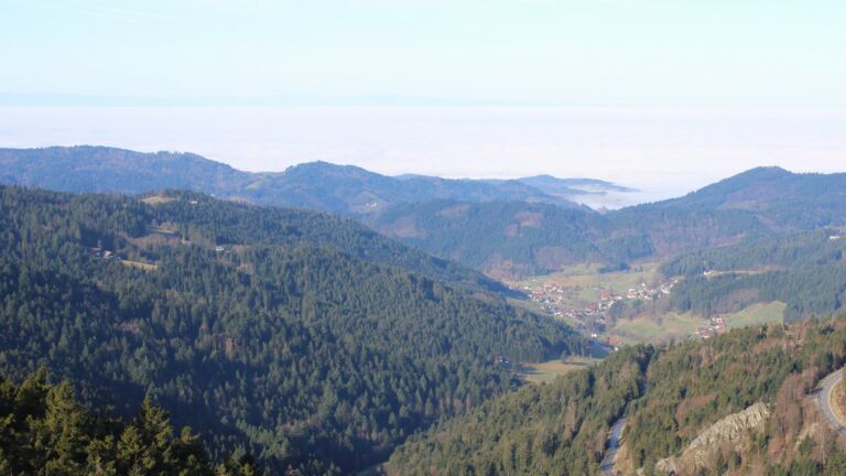 Dieses Bild zeigt eine Webcam-Aufnahme vom Achertal, aufgenommen am Donnerstag, den 26.02.2026 um 09:50 Uhr. Die Temperatur betrug 10.9°C.