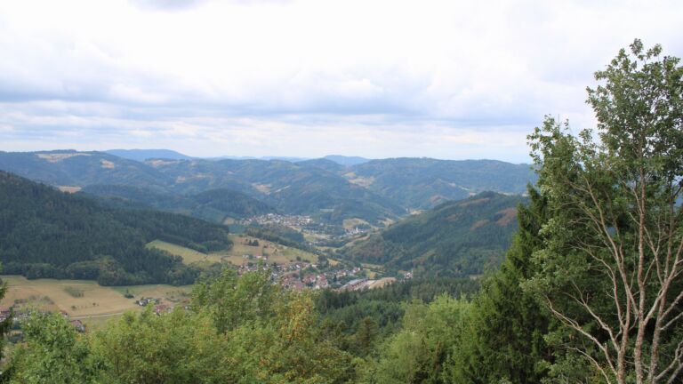 Dieses Bild zeigt eine Webcam-Aufnahme vom Achertal, aufgenommen am Dienstag, den 18.08.2026 um 11:00 Uhr. Die Temperatur betrug 19°C.