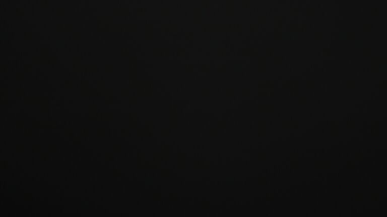 Dieses Bild zeigt eine Webcam-Aufnahme vom Achertal, aufgenommen am Freitag, den 02.01.2026 um 05:00 Uhr. Die Temperatur betrug -4.6°C.