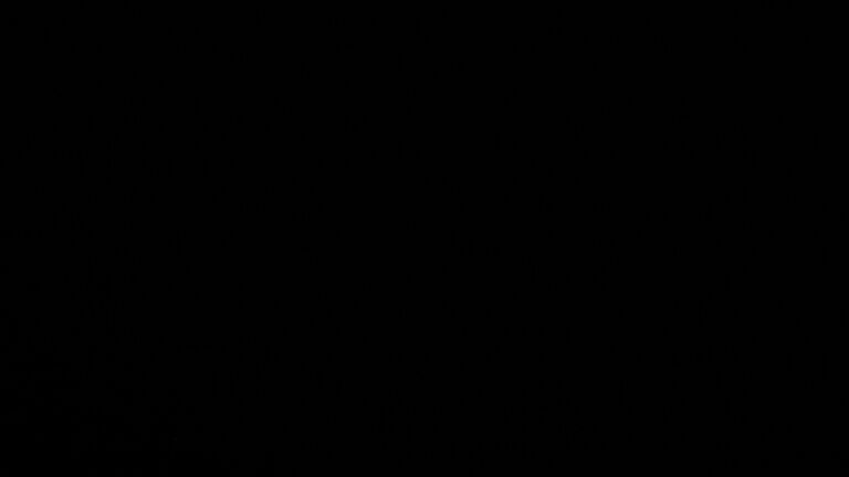 Dieses Bild zeigt eine Webcam-Aufnahme vom Achertal, aufgenommen am Montag, den 23.02.2026 um 00:00 Uhr. Die Temperatur betrug 4.6°C.