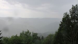 Dieses Bild zeigt eine Webcam-Aufnahme vom Achertal, aufgenommen am Sonntag, den 31.05.2026 um 14:50 Uhr. Die Temperatur betrug 16.9°C.