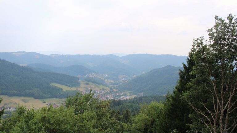 Dieses Bild zeigt eine Webcam-Aufnahme vom Achertal, aufgenommen am Freitag, den 31.07.2026 um 16:10 Uhr. Die Temperatur betrug 30.1°C.
