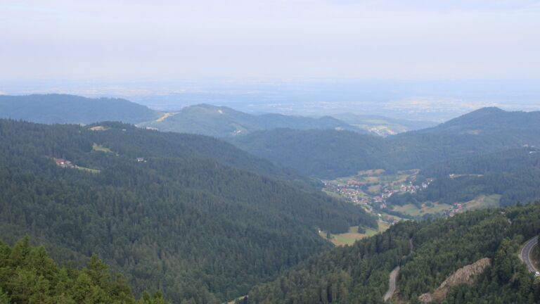 Dieses Bild zeigt eine Webcam-Aufnahme vom Achertal, aufgenommen am Freitag, den 11.07.2025 um 08:30 Uhr. Die Temperatur betrug 15.1°C.