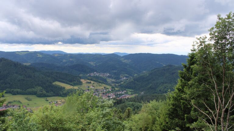 Dieses Bild zeigt eine Webcam-Aufnahme vom Achertal, aufgenommen am Donnerstag, den 11.06.2026 um 12:50 Uhr. Die Temperatur betrug 10.5°C.
