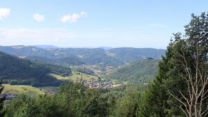 Dieses Bild zeigt eine Webcam-Aufnahme vom Achertal, aufgenommen am Montag, den 20.07.2026 um 11:00 Uhr. Die Temperatur betrug 17.6°C.