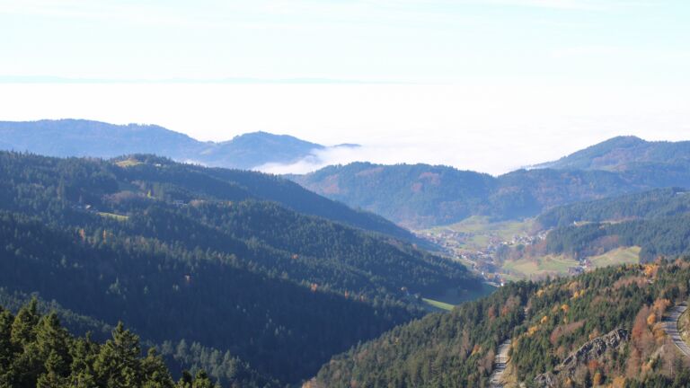 Dieses Bild zeigt eine Webcam-Aufnahme vom Achertal, aufgenommen am Freitag, den 07.11.2025 um 13:10 Uhr. Die Temperatur betrug 11.7°C.