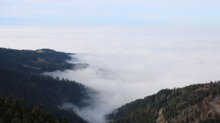 Dieses Bild zeigt eine Webcam-Aufnahme vom Achertal, aufgenommen am Montag, den 22.12.2025 um 12:50 Uhr. Die Temperatur betrug 8.1°C.