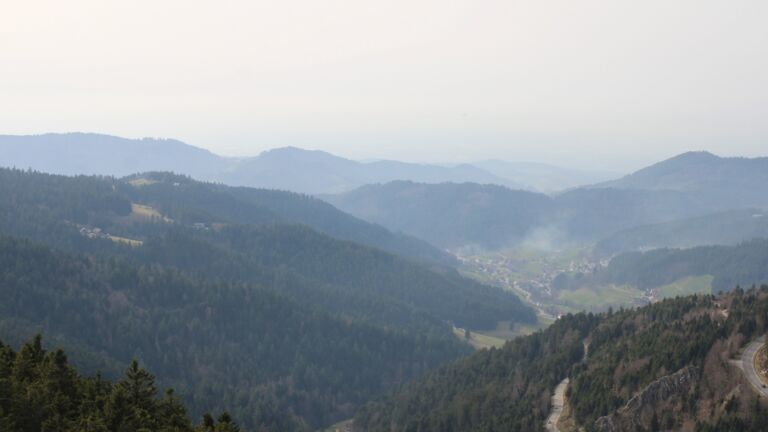 Dieses Bild zeigt eine Webcam-Aufnahme vom Achertal, aufgenommen am Freitag, den 06.03.2026 um 14:50 Uhr. Die Temperatur betrug 14.9°C.