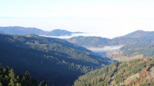 Dieses Bild zeigt eine Webcam-Aufnahme vom Achertal, aufgenommen am Samstag, den 08.11.2025 um 09:40 Uhr. Die Temperatur betrug 13.4°C.