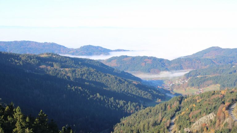 Dieses Bild zeigt eine Webcam-Aufnahme vom Achertal, aufgenommen am Samstag, den 08.11.2025 um 09:40 Uhr. Die Temperatur betrug 13.4°C.