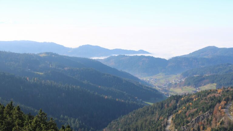 Dieses Bild zeigt eine Webcam-Aufnahme vom Achertal, aufgenommen am Samstag, den 08.11.2025 um 13:50 Uhr. Die Temperatur betrug 9.1°C.