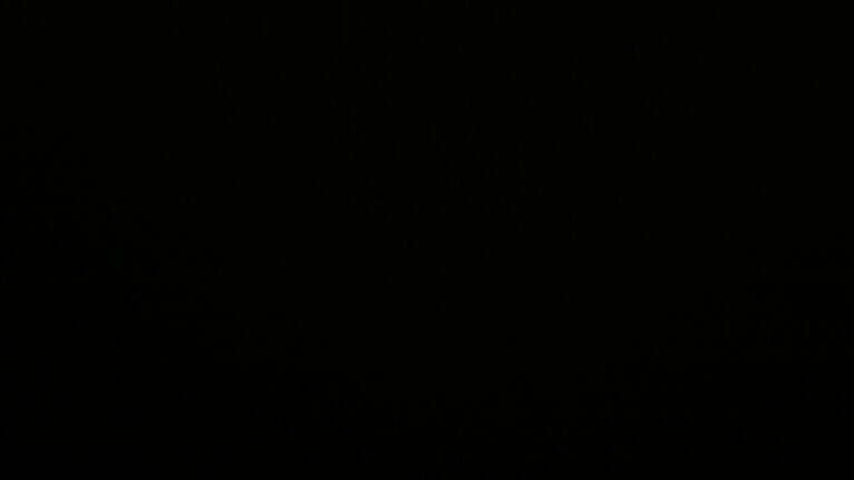 Dieses Bild zeigt eine Webcam-Aufnahme vom Achertal, aufgenommen am Dienstag, den 23.09.2025 um 01:00 Uhr. Die Temperatur betrug 4.1°C.