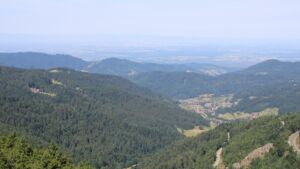 Dieses Bild zeigt eine Webcam-Aufnahme vom Achertal, aufgenommen am Samstag, den 05.07.2025 um 10:50 Uhr. Die Temperatur betrug 18.2°C.