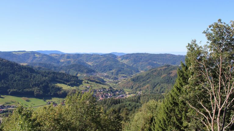 Dieses Bild zeigt eine Webcam-Aufnahme vom Achertal, aufgenommen am Dienstag, den 15.09.2026 um 11:00 Uhr. Die Temperatur betrug 25.5°C.